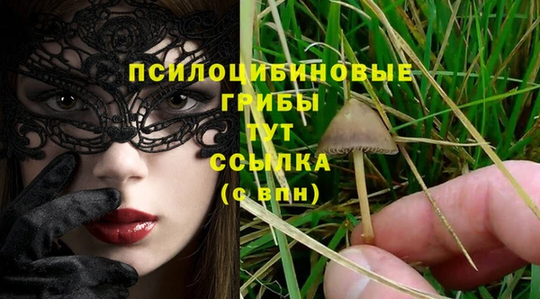 ALPHA PVP Алзамай
